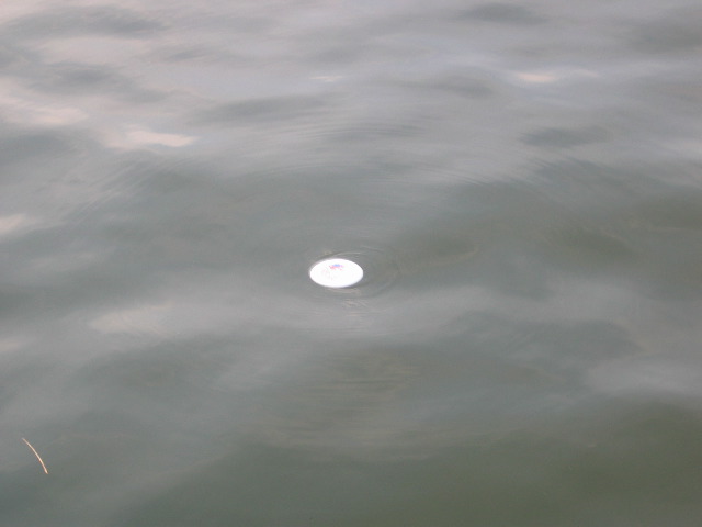 Into the drink